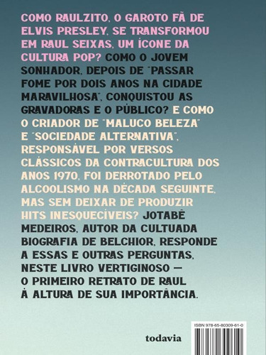 Raul Seixas: Não Diga Que A Canção Está Perdida, De Jotabê, Medeiros. Editora Todavia Editora, Capa Mole Em Português
