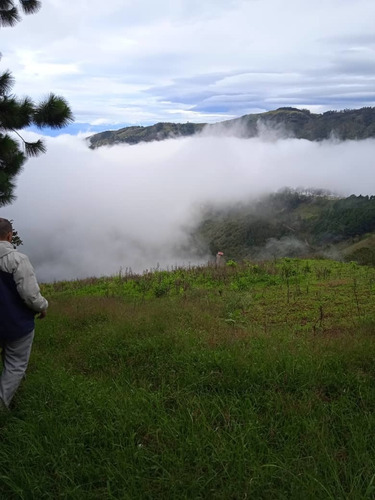 Imagen 1 de 8 de Finca En Mesa De Aura De 08 Hectáreas