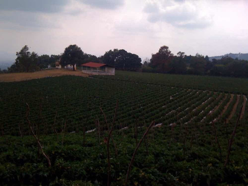 Imagen 4 de 14 de Rancho Al Lado Del Club Asturiano Morelos En Nepantla.