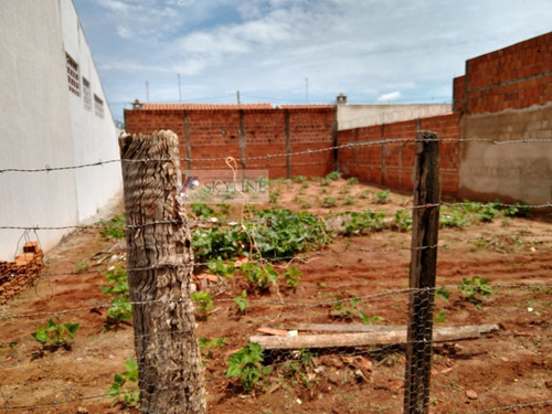 Imagem 5 de 6 de Terreno A Venda . - 701-1