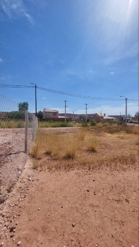 Venta Terreno / Lote Plottier