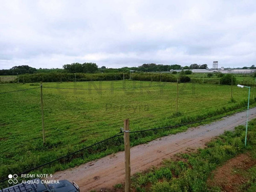 Imagen 21 de 22 de 148 Y 486. Lote En Venta En Fincas Gorina.-