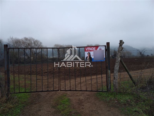 Imagen 3 de 30 de Agrícola En Venta En Teno