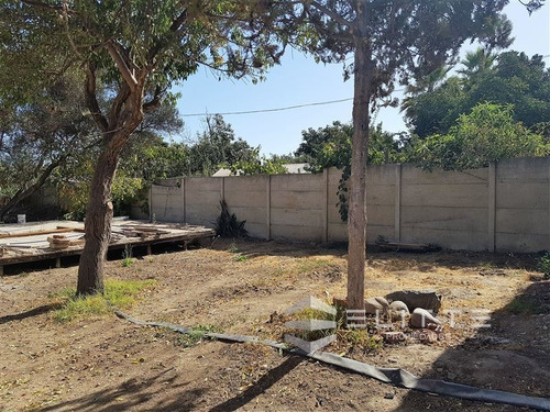 Imagen 11 de 17 de Sitio En Venta En Limache