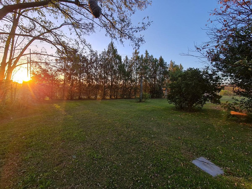 Imagen 27 de 28 de Hermosa Quinta En Venta | 2 Dorm | Garage | Parrilla | Gral Belgrano