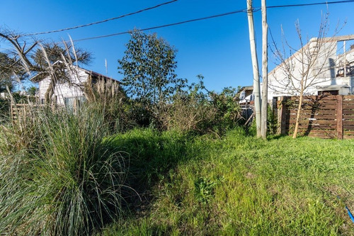 Imagen 5 de 7 de Muy Buen Terreno De 300m²