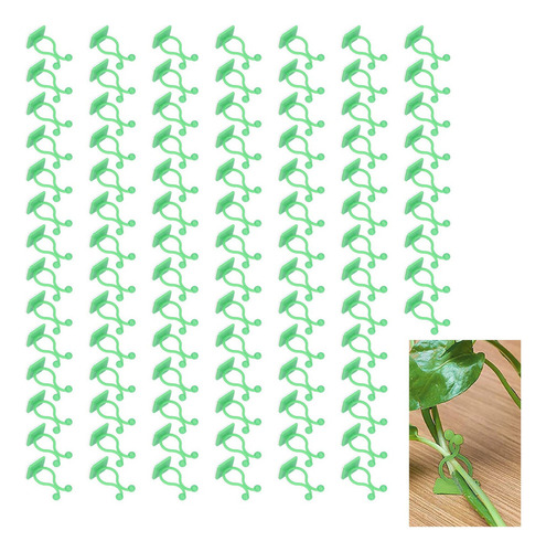 Pinza De Montaje For Enredaderas Y Plantas Trepadoras De Pa