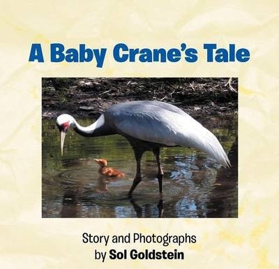 Libro A Baby Crane's Tale - Dr Sol Goldstein