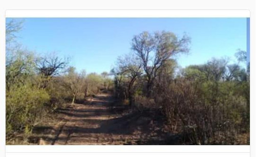 Imagen 8 de 19 de Campo - El Chacho