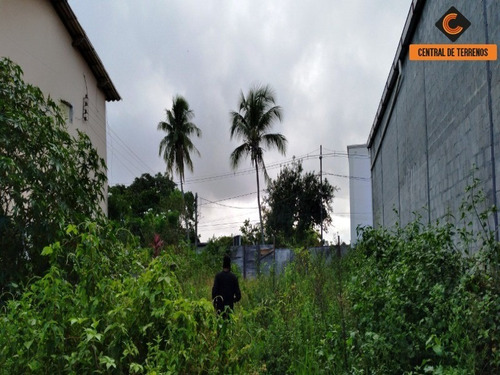 Imagem 10 de 15 de Terreno Próximo Ao Bosque Da Paz - Te00443 - 69487473