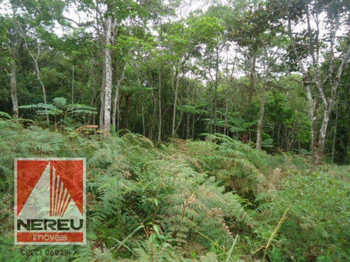 Imagem 3 de 15 de Juquitiba Terreno Para Formar - 1314