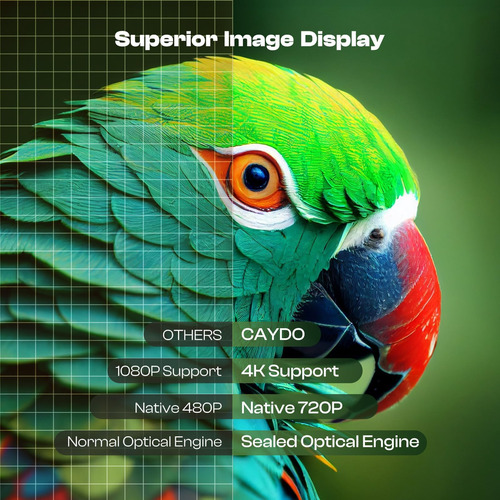 Caydo P1 Art Projector With Exclusive Art Drawing For Artist