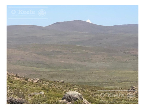 Imagen 21 de 28 de 8.805 Has En Neuquen Venta / Alquiler, Con 18 Km De Costa Del Embalse Piedra Del Águila.