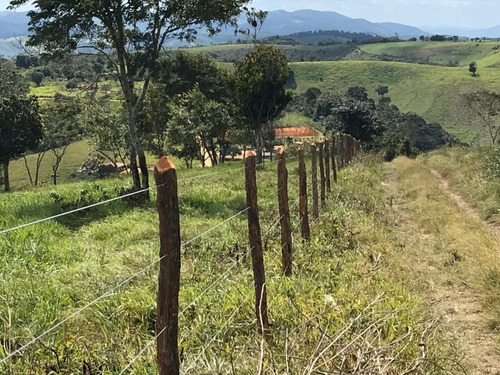 Imagem 11 de 15 de Fazenda Para Venda Em São Benedito Do Sul, Zona Rural - In - 006_1-2014337