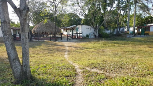 Imagen 11 de 17 de Finca En Venta En Baranoa Baranoa. Cod 19439