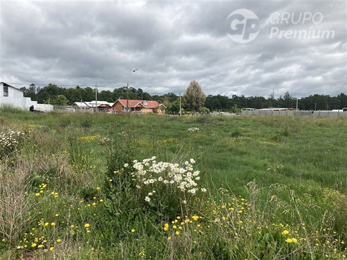 Imagen 2 de 6 de Sitio En Venta En Osorno