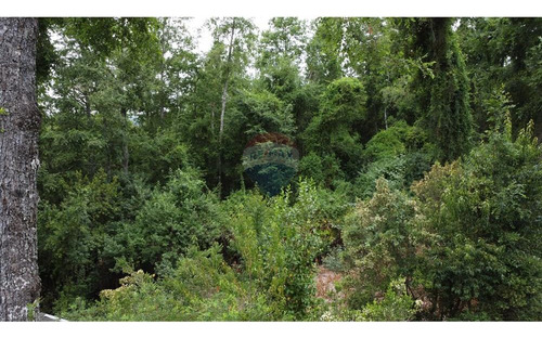 House, Cabin And Pool On A 5,923 M² Plot