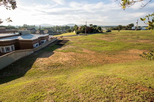 Terreno Em Belém Novo - Lu429223