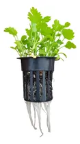 Comprar Kit Cultivo Hidroponico Semillas Lechuga + Canastillas Hidro
