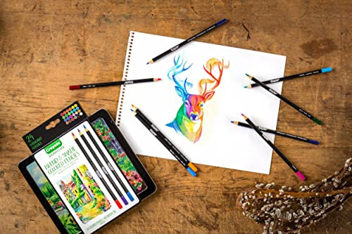 Lápices De Colores Núcleo Suave En Lata Regalo 24 Unidades
