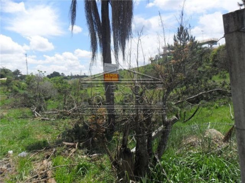 Imagem 3 de 5 de Chacara - Veraneio Ijal - Ref: 1263 - V-1263