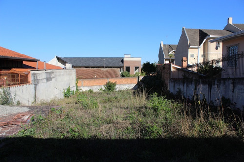 Imagem 10 de 14 de Terreno Para Alugar - 00394.002