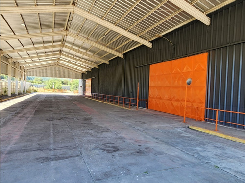 Arriendo Bodega De 750 M2 En Ruta 5 Sur, Lautaro.