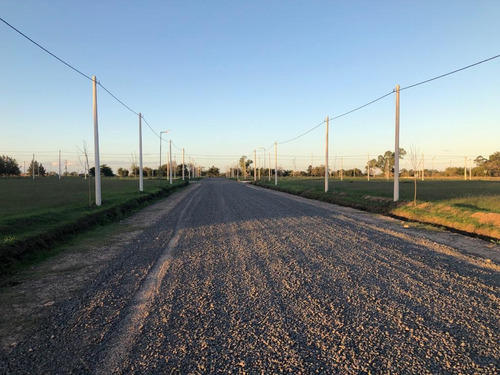 Imagen 10 de 21 de Terreno En Venta En J.gorina | 510y167 | Don Basilio (mza.d-l.12)