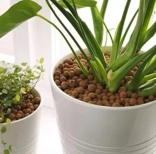 Argila Expandida Terra Nobre Vasos/jardim/decoração - 500 G