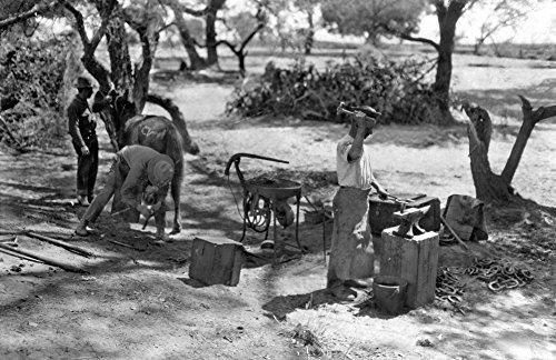 Herrero De Mexico C1916 Na Herrero Martillando Una Herradur