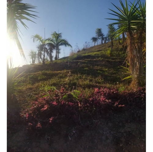 Vendo Casa 100 M2 1h/1b/10p Bosque De La La Lagunita