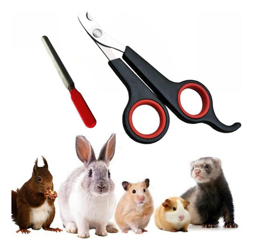 Colírios Para Coelhos E Aparadores De Aço Haichen Tec