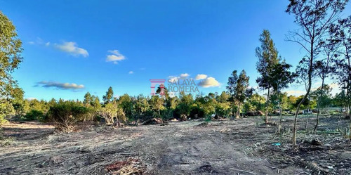 Venta De Terreno En Barrio Privado La Chacra Punta Del Este
