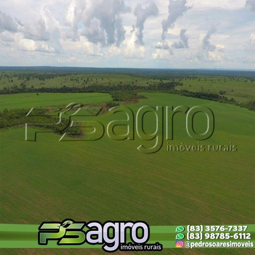 Imagem 8 de 10 de Fazenda À Venda Em Pium/to - 4.210 Ha (870 Alqueires) - Fa0089