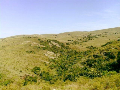 Campo En Maldonado - Los Caracoles- Ref: 31037