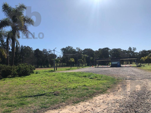 Imagen 10 de 21 de Venta De Lotes En Zarate Golf Park