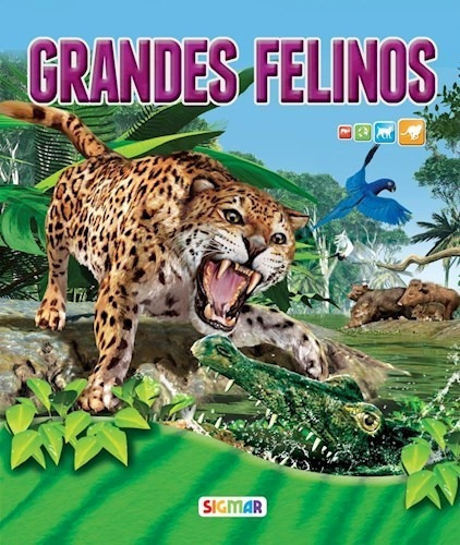 Libro Grandes Felinos De Bajo La Lupa