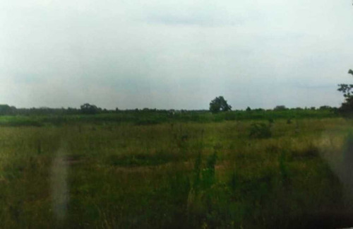 Imagen 7 de 8 de Tierras Para Engorde De Ganado En Guarico