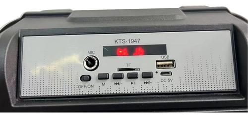 Bocina Bluetooth Karaoke Con Microfono 8 PuLG Entrada Usb