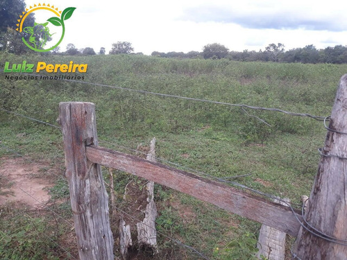 Imagem 11 de 15 de Fazenda À Venda Em Divinópolis - T0 - 1.287,44 Hec (dupla Aptidão) - 1767