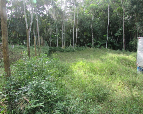 Imagem 18 de 21 de Terreno - 04611 - 33229241