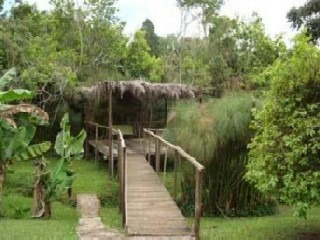 Imagem 7 de 9 de Chacara - Ch00025 - 1838336