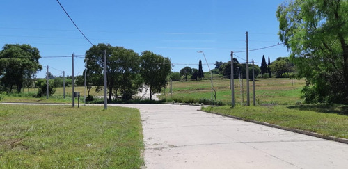 Imagen 6 de 14 de Lotes - B° Los Lapachos 3