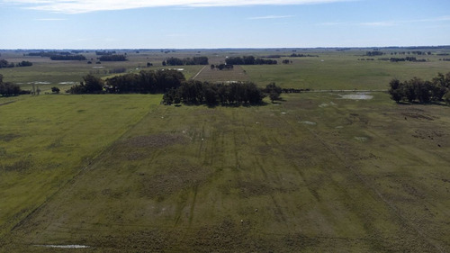 Venta De Campo En Veronica