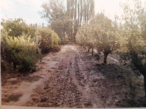 Imagen 4 de 5 de Terreno Urbano / Isla De Maipo