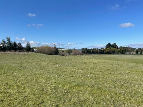 Venta Campo Agrícola Freire