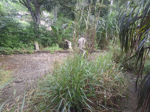 Venta Fundo O Predio Ubicado En Vía Plaza De Toros, Ruta Vía El Paito, Asentamiento Campesino El Yagual, Parroquia Negro Primero Valencia