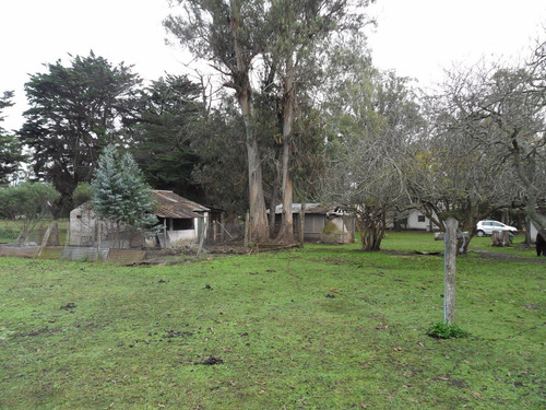 Imagen 12 de 30 de Latorre Prop Vende Campo De 4 Hectareas,cerca De La Ruta 11,del Mar Y Playas,varios Usos,hermosa Arboleda
