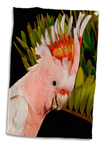 3d Rose Major Mitchells Cockatoo-bird En Australia-na02 Dno0