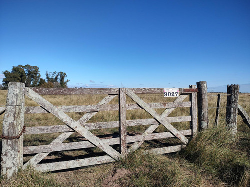 Hectareas En Venta En Oliden